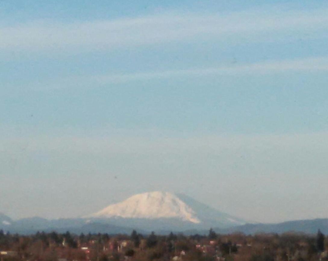 16587071_10209970342608235_4479487695483079151_o