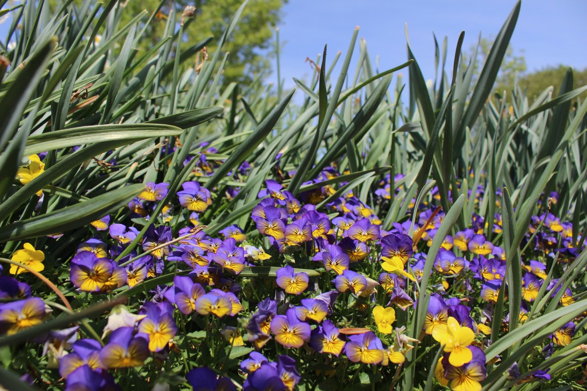 This is a time to “Crack Open Our&nbsp;Hearts”